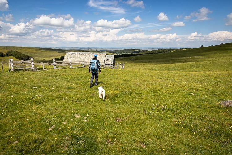 Veste Picture Abstral Jkt