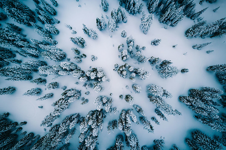 Paysage hivernal