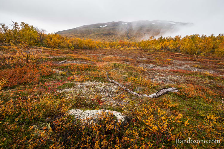 Randonnée au lac Vuolip Njáhkajavri Randonnée Abisko : lac Vuolip Njáhkajavri en boucle