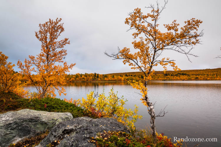 Randonnée au lac Vuolip Njáhkajavri Randonnée Abisko : lac Vuolip Njáhkajavri en boucle