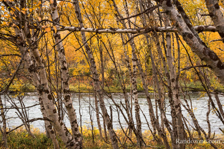 Randonnée au lac Vuolip Njáhkajavri Randonnée Abisko : lac Vuolip Njáhkajavri en boucle