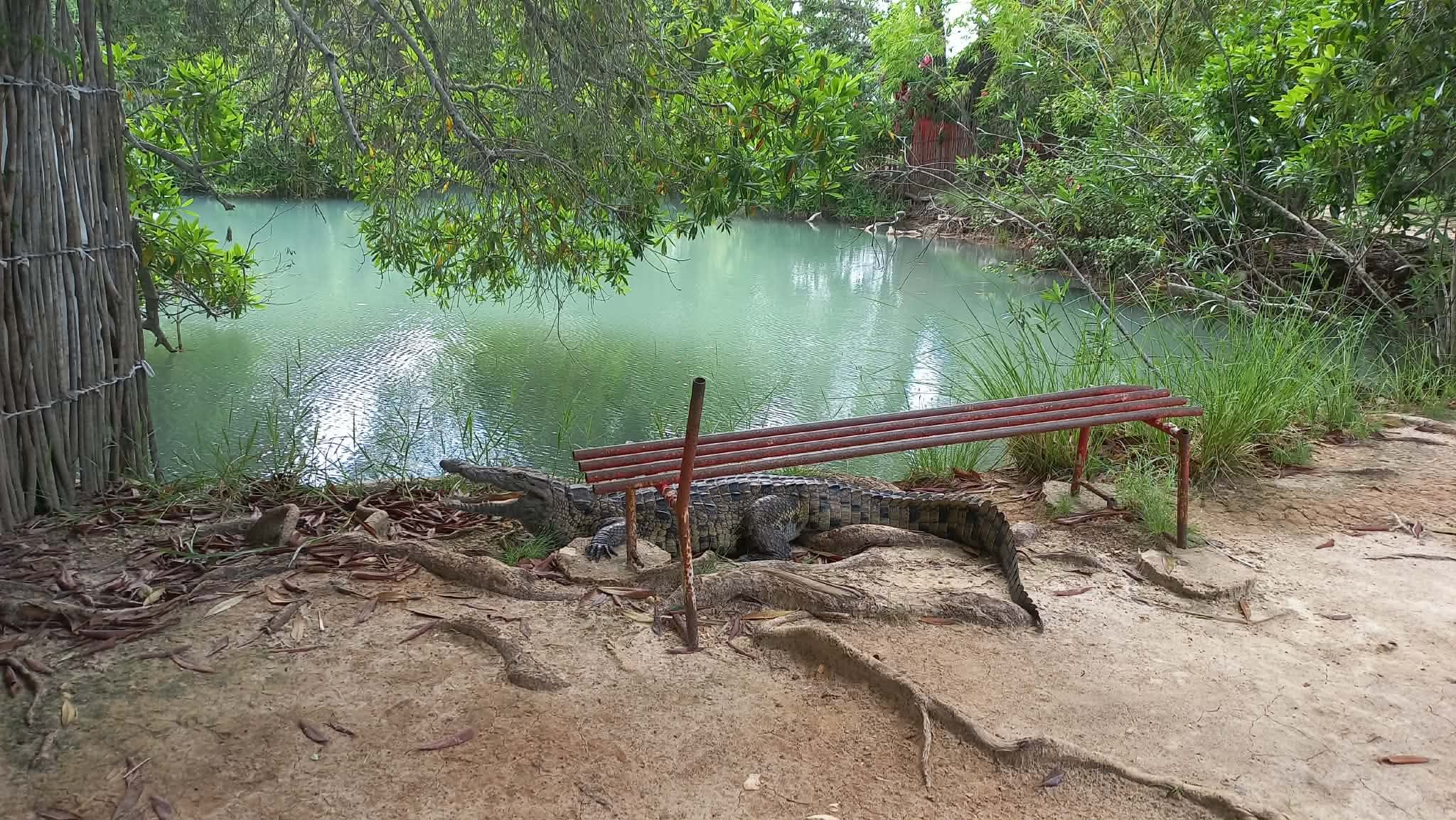Retour à Mangatsa, le village fantôme de Tsiranana