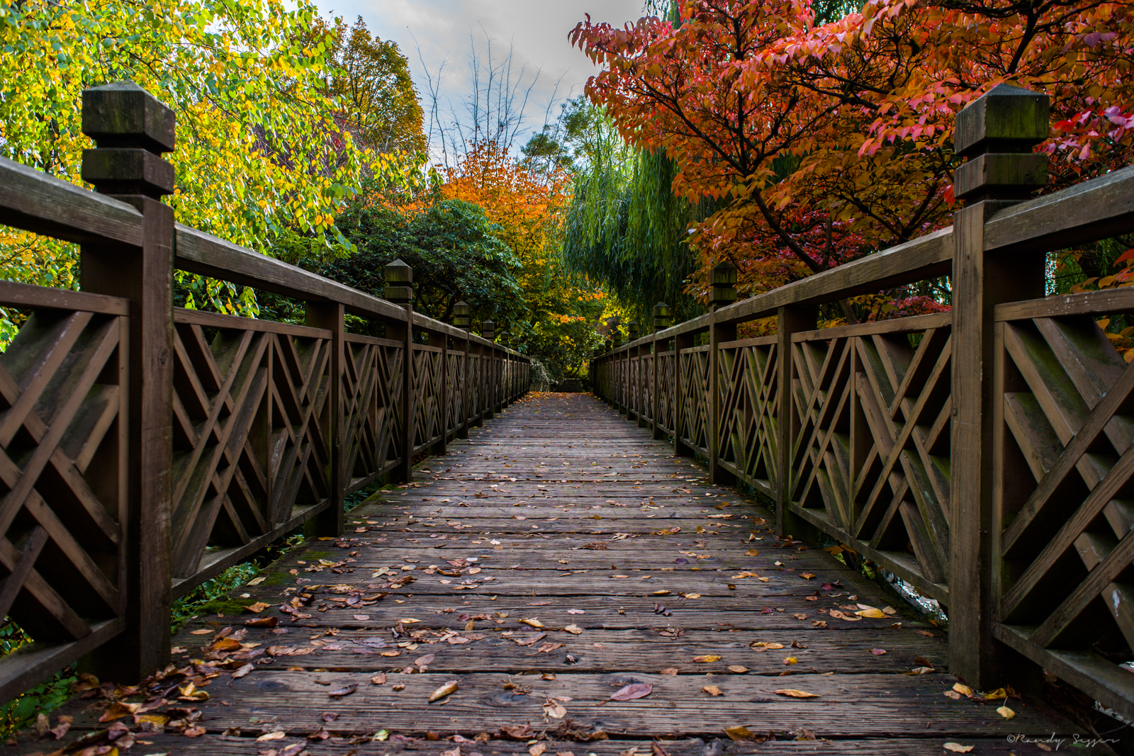 Sony A7II + Olympus OM Zuiko 24mm 1:2.8 - 1/125s @ f/8 ISO 100