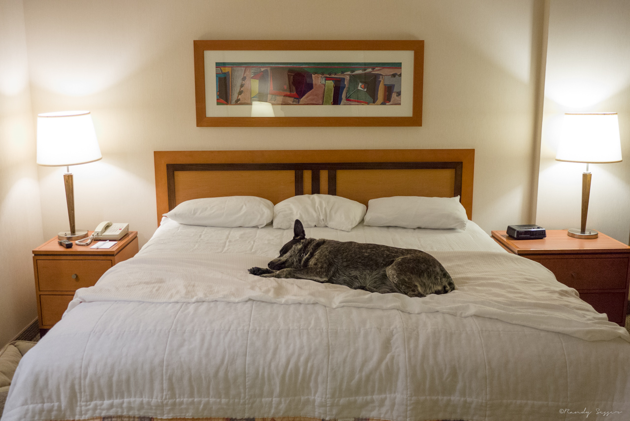 She was a fan of hotel beds. This one in Emeryville, CA