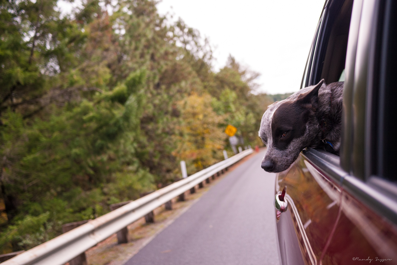 Our first trip from Southern California to Seattle.