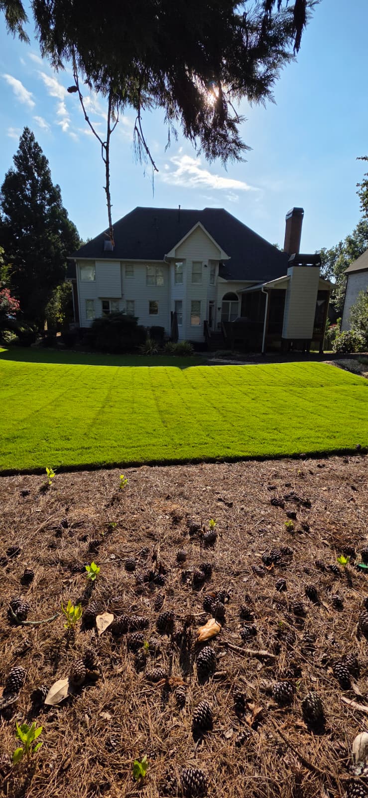 Garden restoration project