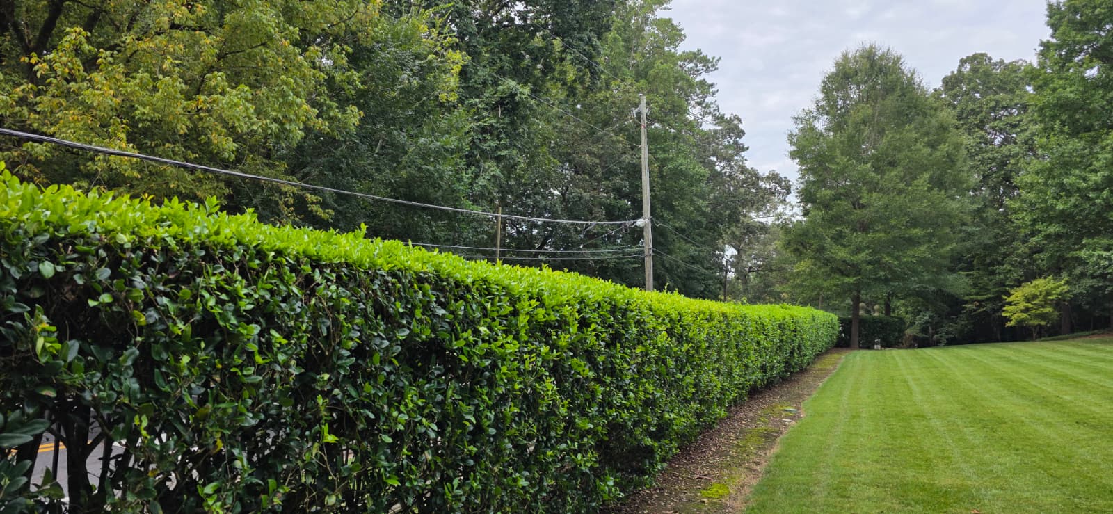 Lawn edging and trimming