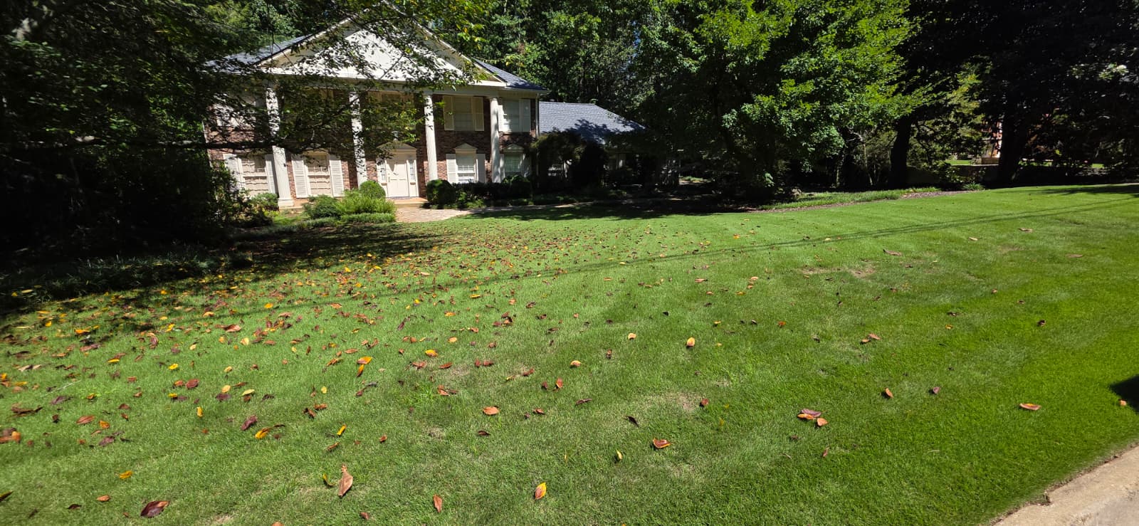 Pristine lawn maintenance