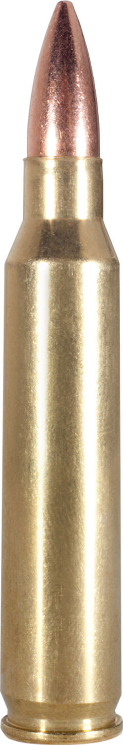 Armscor 223REM 62GR 20RD FMJ