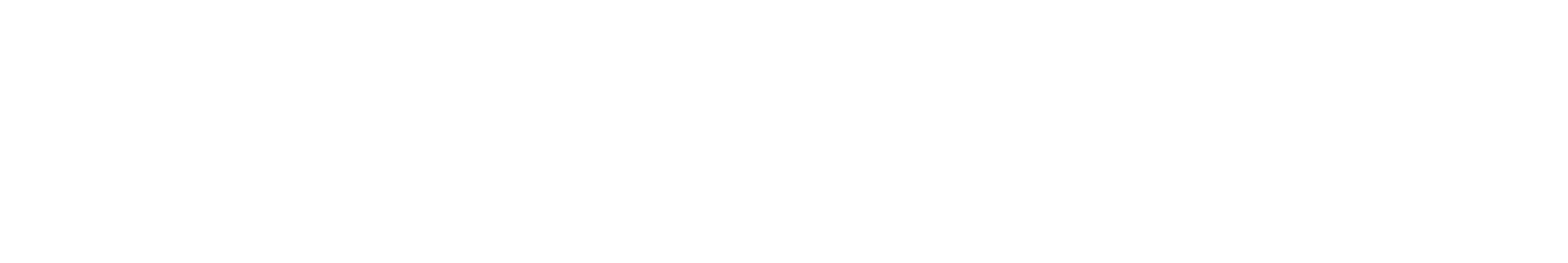 RallyPoint Labs Logo