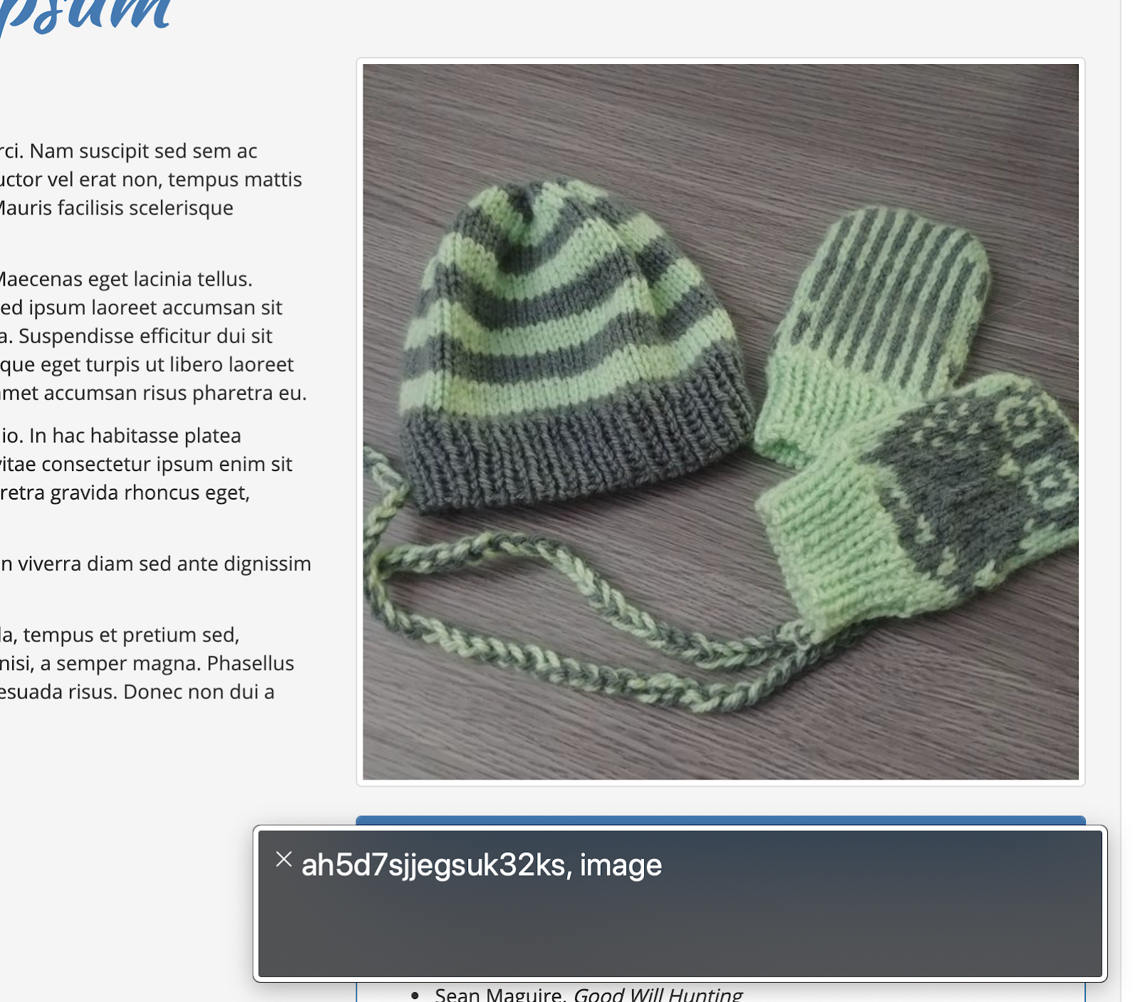 A website containing an image of a knit hat and gloves, It is focused on by a screen reader, and the screen reader overlay reads “ah5d7sjjegsuk32ks, image”