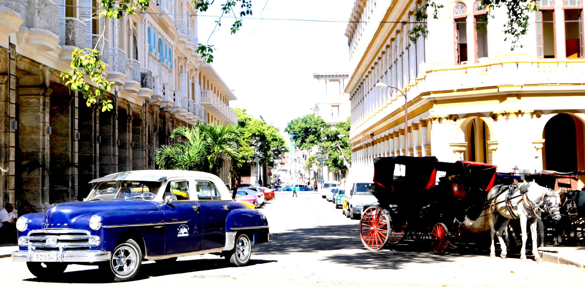 Photo of a classic car and a horse-drawn carriage.