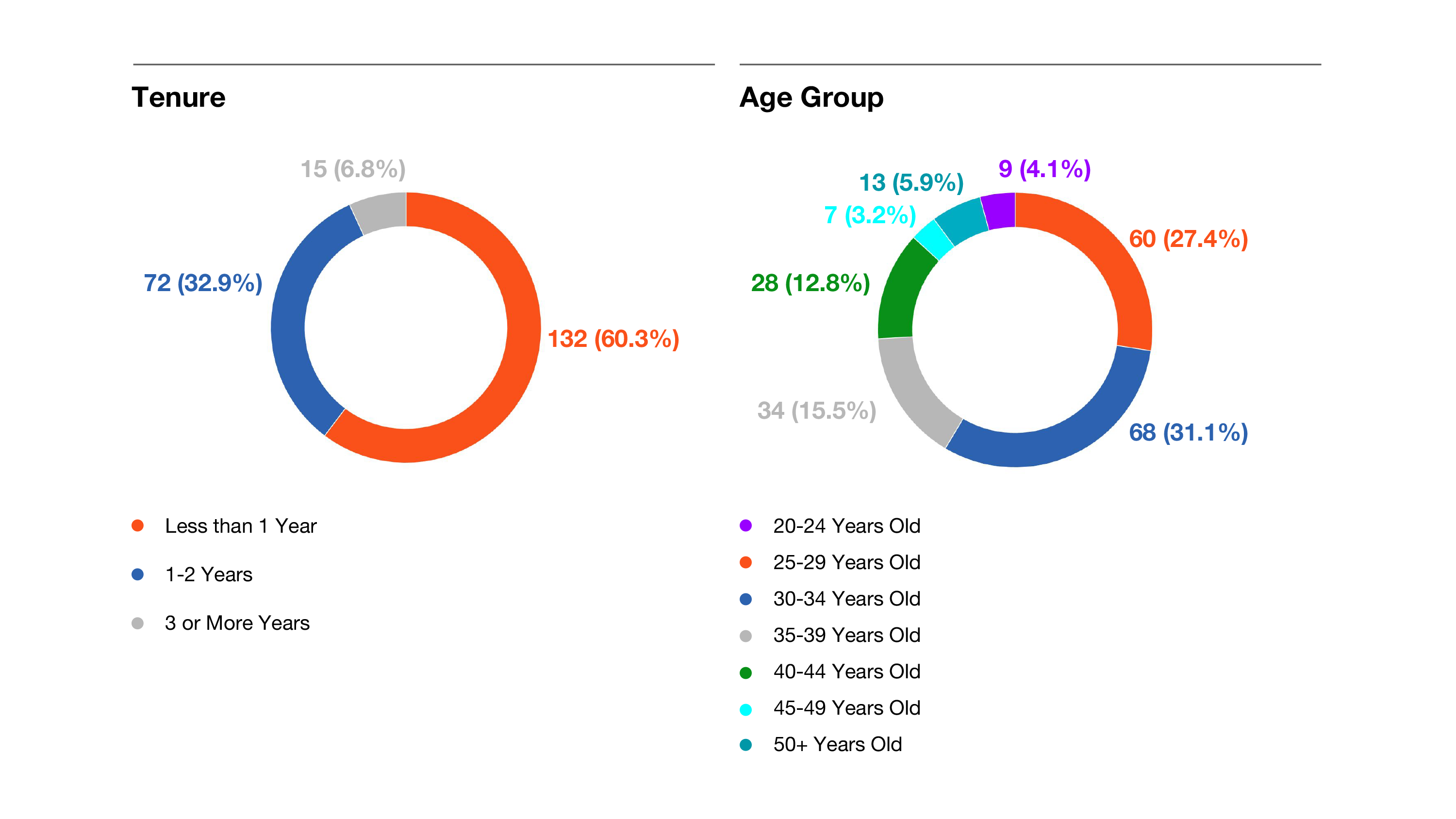 Tenure and Age Group Pie Charts