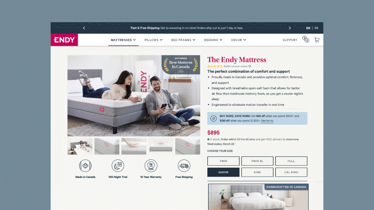 audit of Sanity's existing website on Shopify
