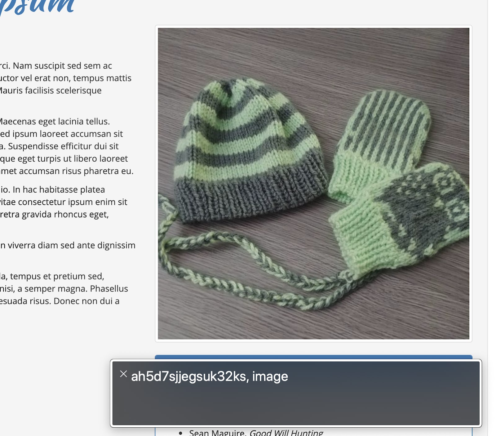 A website containing an image of a knit hat and gloves, It is focused on by a screen reader, and the screen reader overlay reads “ah5d7sjjegsuk32ks, image”