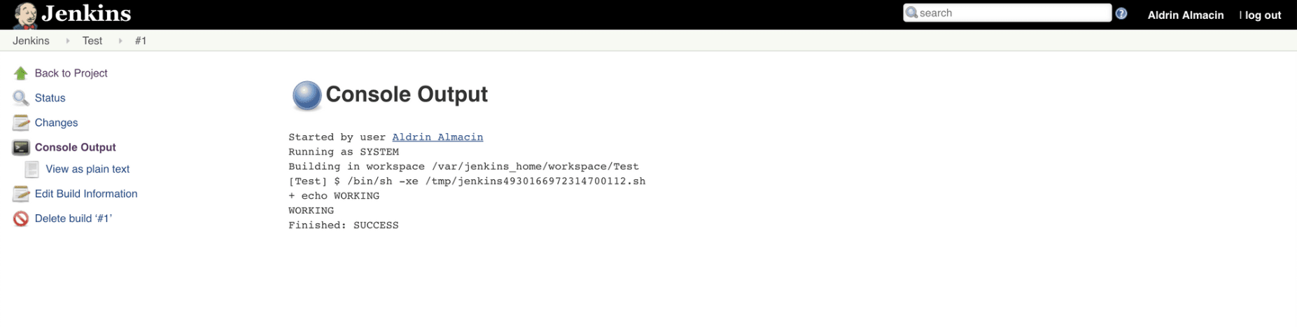 Jenkins console output