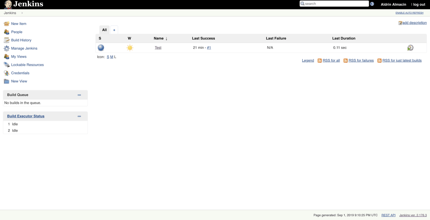 Job and console output