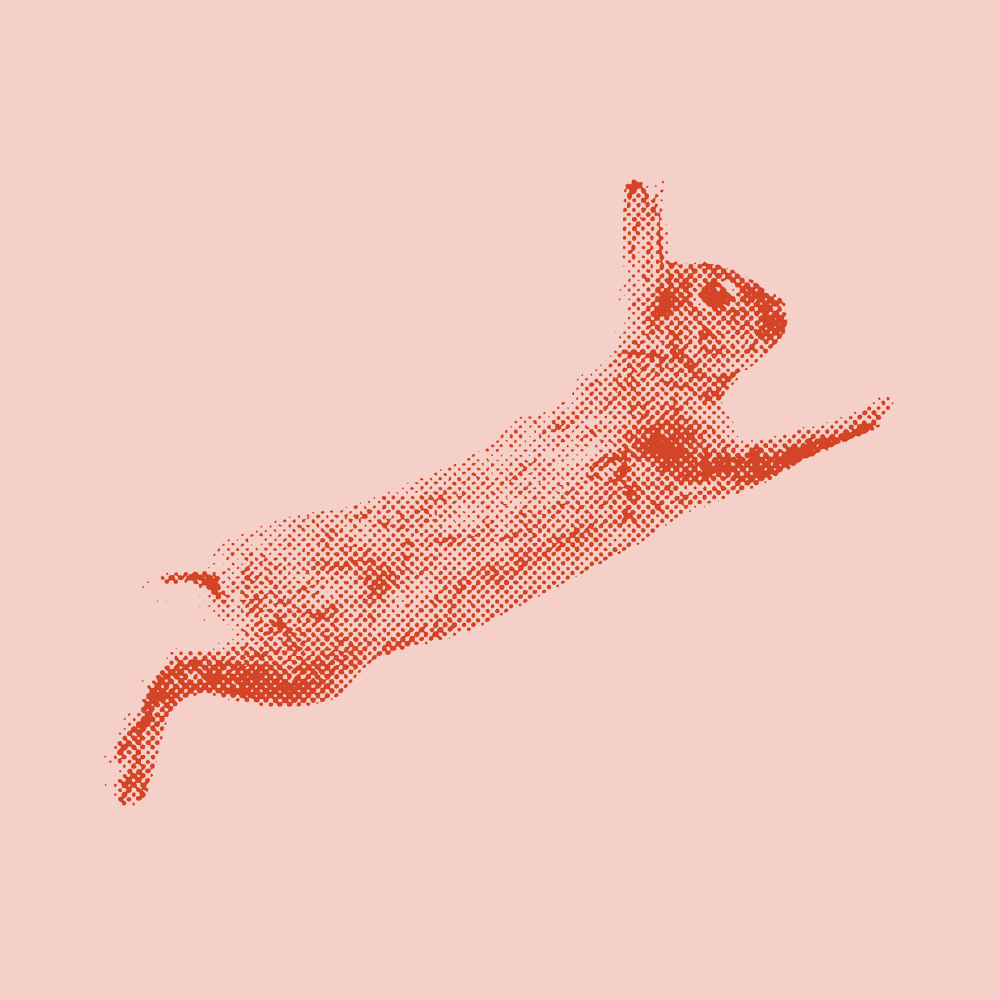 meatier rabbit