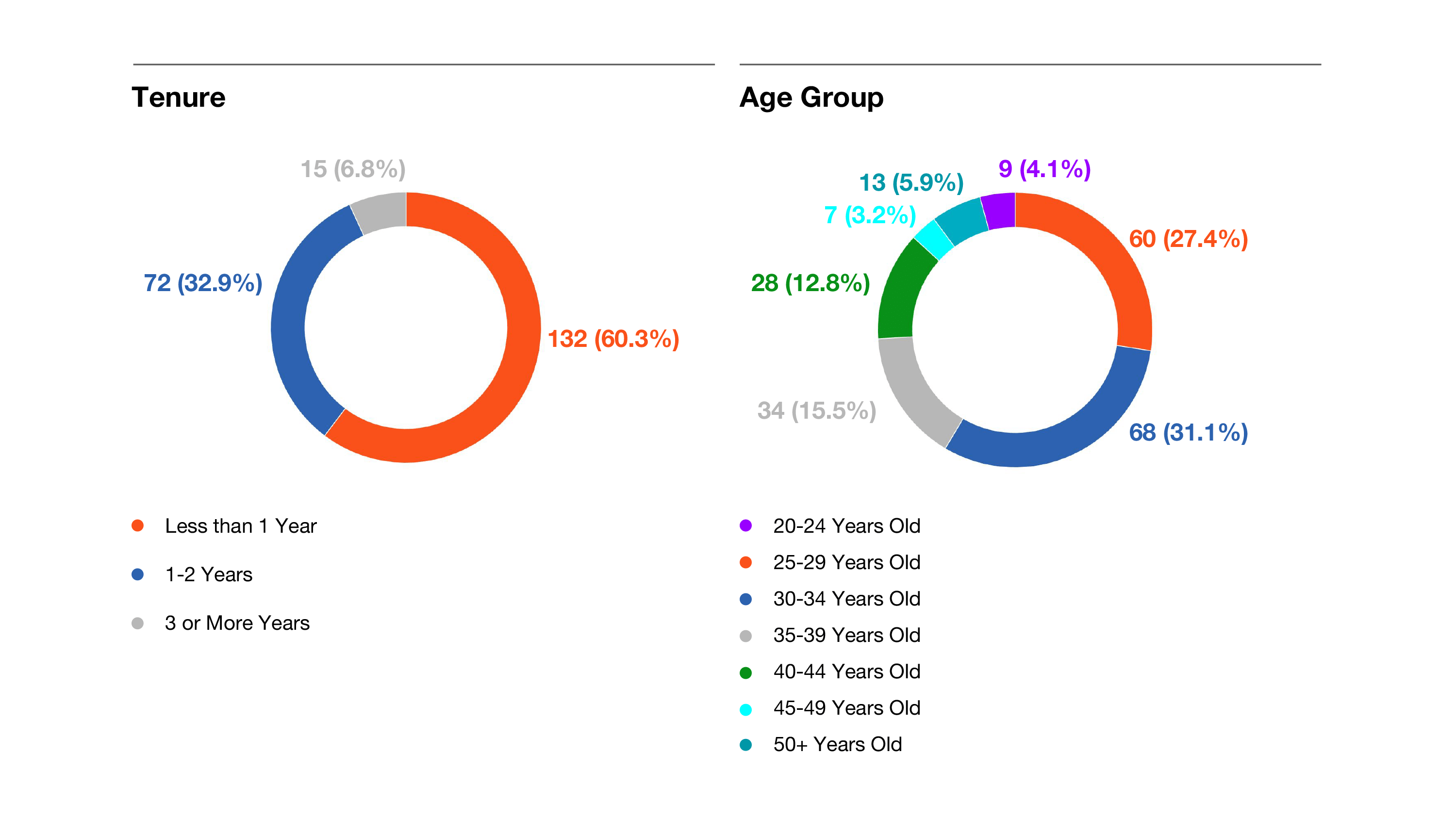 Tenure and Age Group Pie Charts