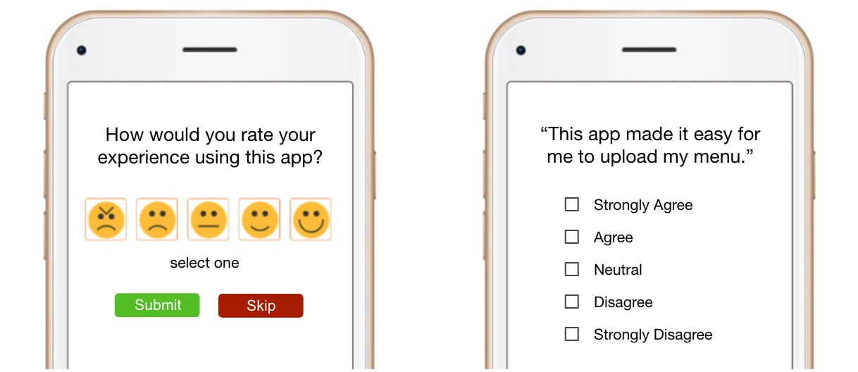 Example user survey