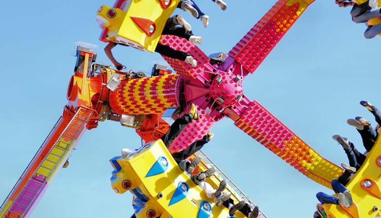 Upper surface of the impenetrable foliage