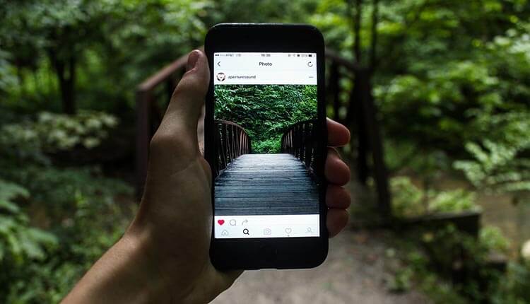 In sagittis purus eget semper ullamcorper nisi lorem In sagittis purus eget semper ullamcorper nisi lorem