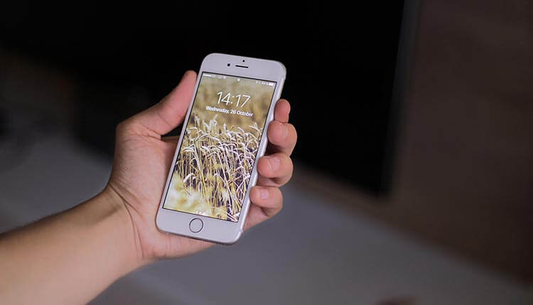 In sagittis purus eget semper ullamcorper nisi lorem In sagittis purus eget semper ullamcorper nisi lorem