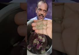 செம்பருத்தி டீ நன்மைகள் – Sembaruthi Tea