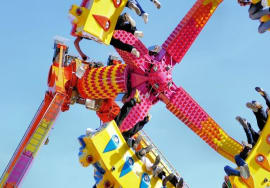 Upper surface of the impenetrable foliage