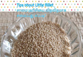 V log :Little millet -சாமை அரிசியில் உள்ள சத்துக்கள் என்ன?எப்படி சுவைபட சமைப்பது?- Mallika Badrinath