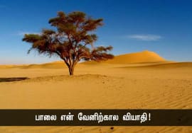 மண் – கவிக்கோ அப்துல் ரகுமான் | நாளும் பல நற்செய்திகள்