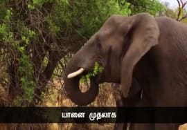 அழிந்தும் பிறந்தும் அலைமோதும் துரும்புதான் மனிதப்பிறவி – சிந்தனையாளர் மான்டேயி நாளும் பல நற்செய்தி