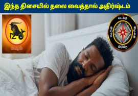 மகரம் ராசிக்காரர்கள் இந்த திசையில் தலை வைத்தால் கோடீஸ்வரர் ஆகலாம் | Magaram Rasi Sleeping Direction