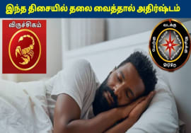 விருச்சிகம் ராசிக்காரர்கள் இந்த திசையில் தலை வைத்தால் கோடீஸ்வரர் ஆகலாம் | Viruchigam Rasi