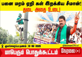 கள் மீதான தடையை நீக்க கோரி பனையேறி கள் இறக்கிய சீமான் | பெரிய தாழை Drone Shots