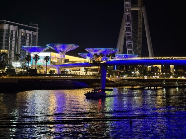 Paseo iluminado frente a la rueda Ain Dubai de noche