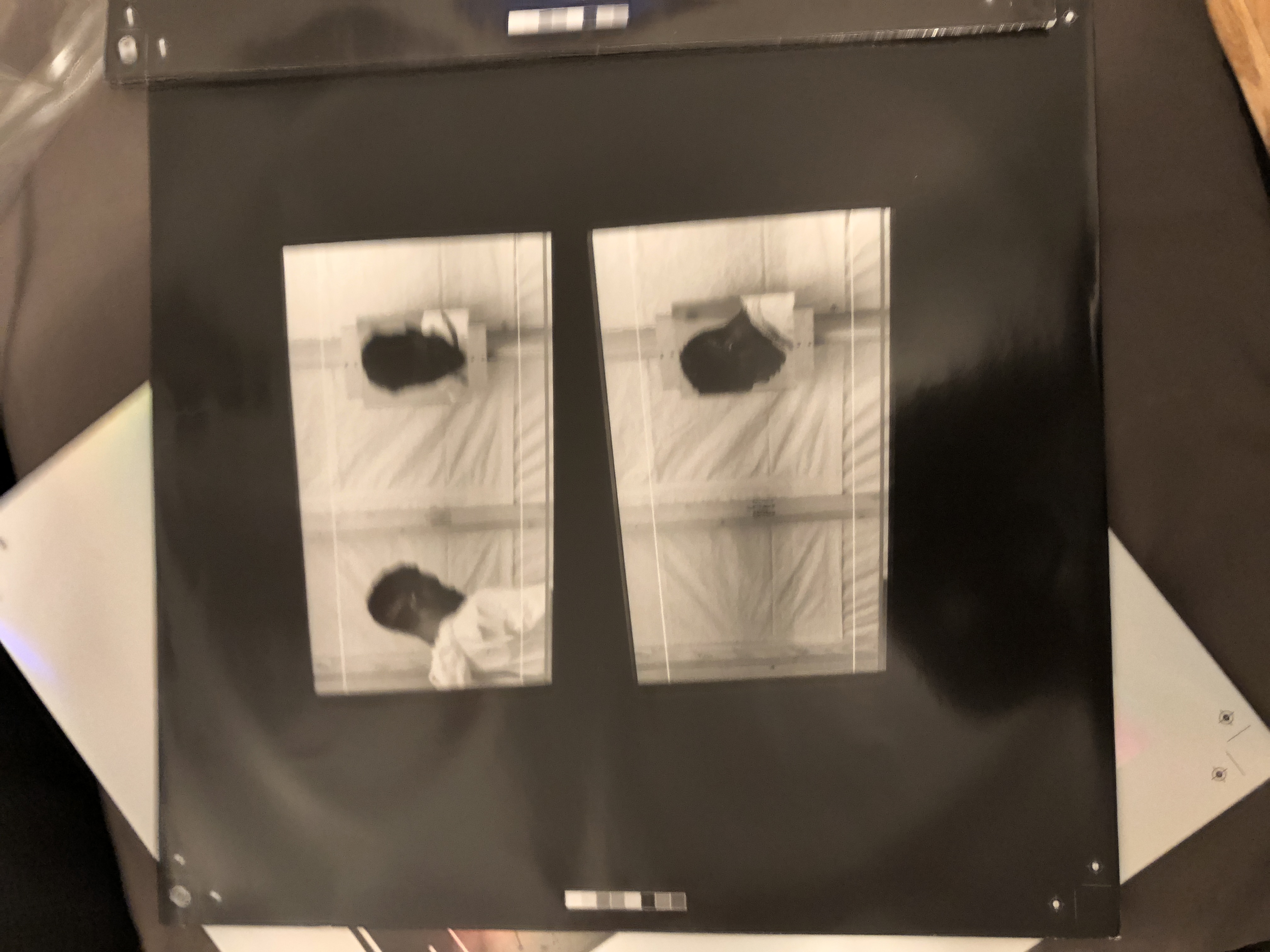 Blonded Sleeve