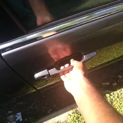 my first vine