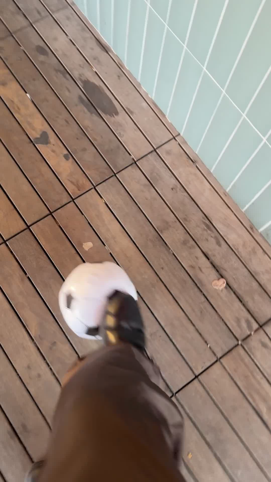 still got it, kinda