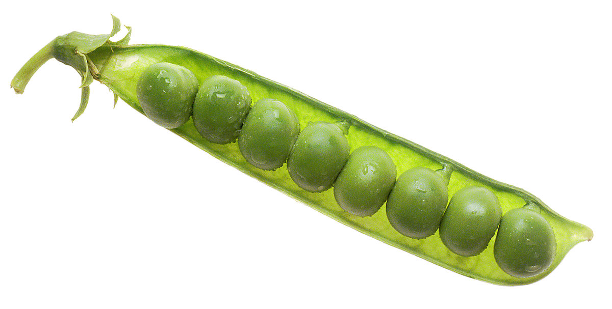 Peas.jpg