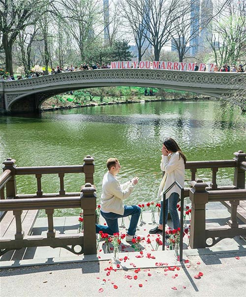 A man proposing to a woman on a park bridge surrounded by red roses