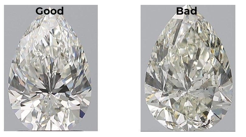 Pear good vs bad.jpg