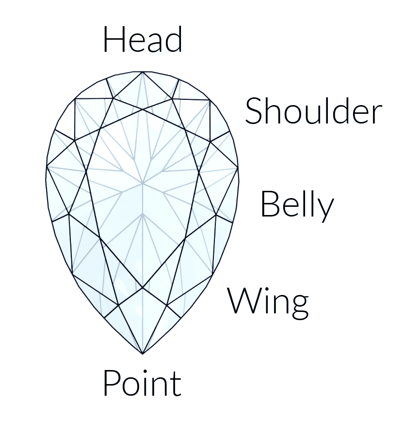 Anatomy of a pear shape.png