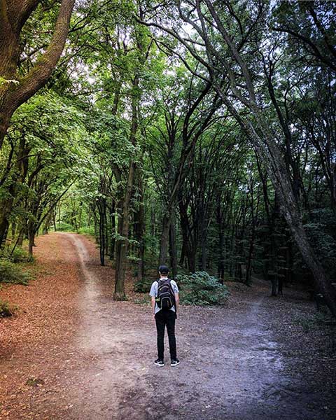 A person with a backpack stands at a fork in a forest path that splits in two directions, symbolizing a moment of choice