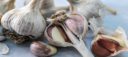 How To Plant Spring Garlic | Baker Creek Heirloom Seeds