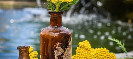air plant planter Wine Cork Planters with Magnet and Tillandsia Air Plants – Air Plant Design  Studio