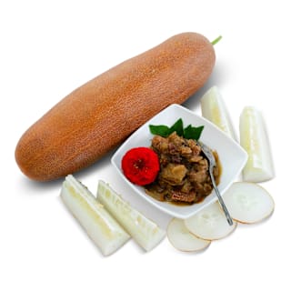 Gagon Cucumber Seeds | Baker Creek Heirloom Seeds