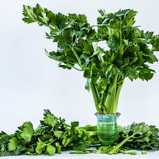 D'Elne Celery Seeds | Baker Creek Heirloom Seeds