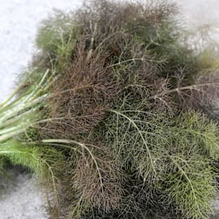 FENNEL ガーデン IMG_0557.jpg?v=1733865832&