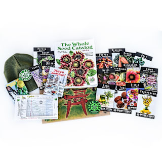 SEED 商品 Holiday Gift Collection 2026